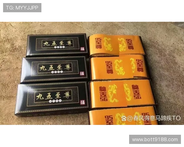 九五至尊I：尊享奢华人生的极致体验